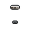 10.16.2008-BK Nanocable Conversor DVI 24+1/M a VGA HDB15/H - 10 cm - Color Negro