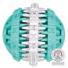 32942 Pelota Denta Fun, Menta, Caucho Natural, ø7 cm Trixie