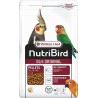 ✅ Nutribird G14 Original MTO para Ninfas 1 kg  Alimentación Balanceada