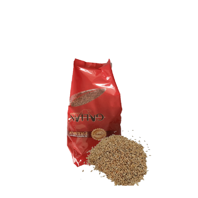 Alpiste Galian Bolsa 5Kg | Alimentación Premium para Aves