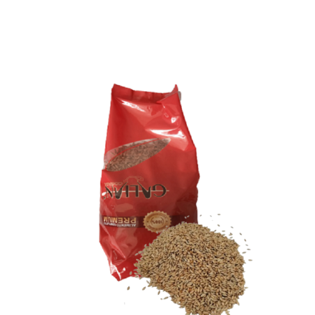 Alpiste Galian Bolsa 5Kg | Alimentación Premium para Aves