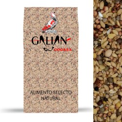 Galian Mixtura Criadero Sin Maíz para Palomos - 20 kg de Alta Calidad