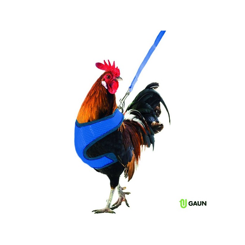 Gaun 14080 Arnés para Gallinas - Cómodo y Seguro para tus Aves