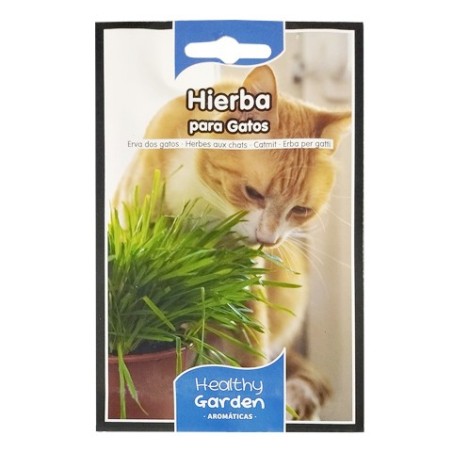 ✅ Semillas de Hierba para Gatos | Natural y Saludable