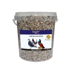 Conchilla de Ostra 1,6Kg en Cubo – Suplemento Natural para Aves