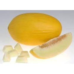 🍈 Sobre de Semillas de Melón Amarillo Canario – Cultiva Melones Dulce