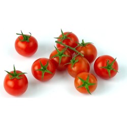 🍅 Sobre de Semillas de Tomate Cherry Minibel – Cultiva Tomates Dulces