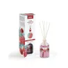 MIKADO 100ML FRAMBUESA